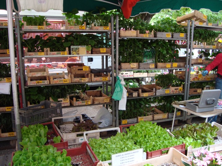 La verdulería versión "hágalo usted mismo".