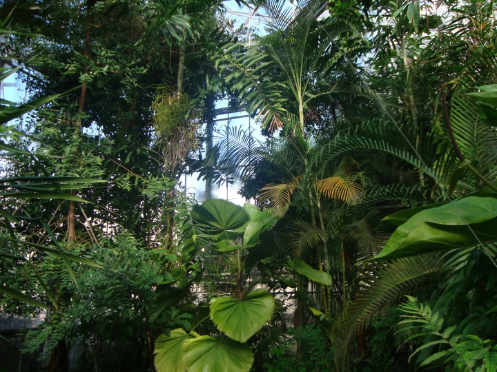 Jardín botánico