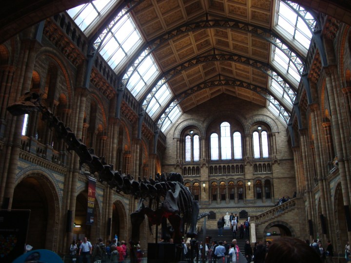 Natural Sciences Museum