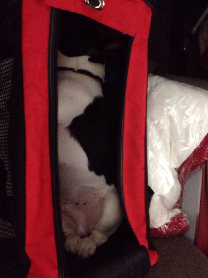 20140221-090409 p.m..jpg