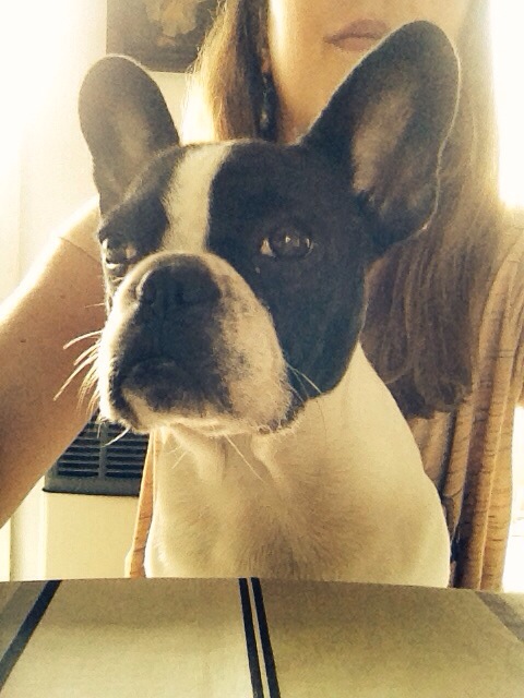 20140221-090432 p.m..jpg