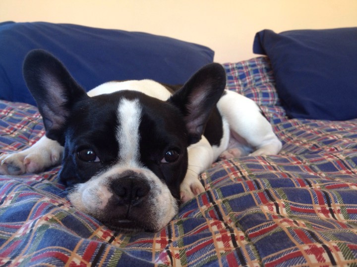 20140221-090453 p.m..jpg