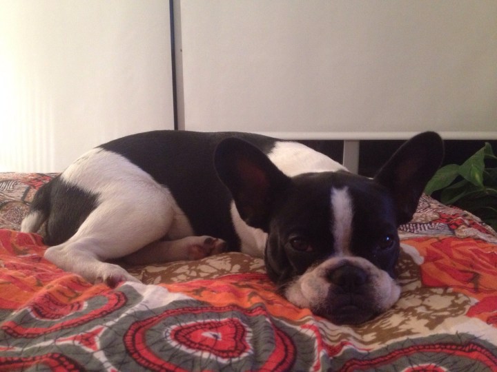 20140221-090513 p.m..jpg